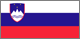 Slovenya Flag